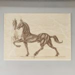 1742 3385 LITOGRAPH